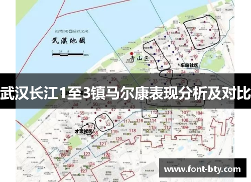 武汉长江1至3镇马尔康表现分析及对比