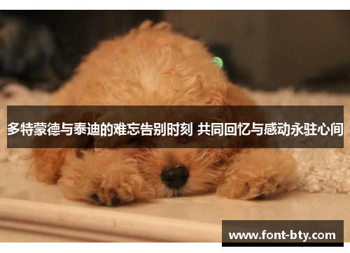 多特蒙德与泰迪的难忘告别时刻 共同回忆与感动永驻心间