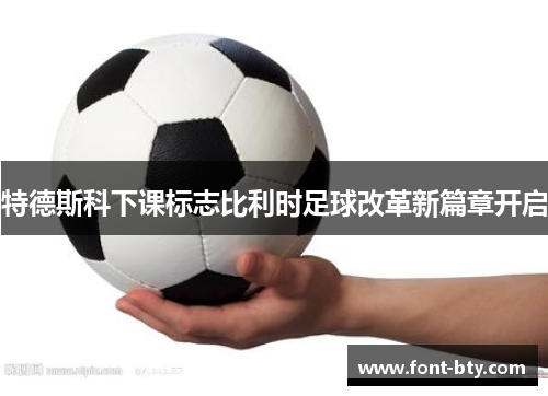 特德斯科下课标志比利时足球改革新篇章开启