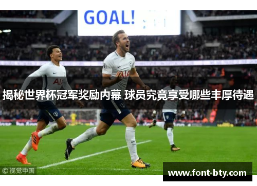 揭秘世界杯冠军奖励内幕 球员究竟享受哪些丰厚待遇