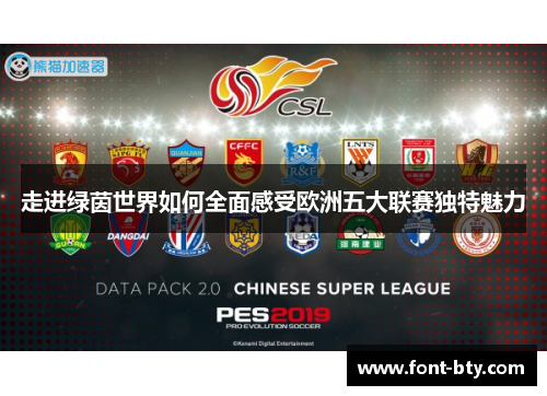 走进绿茵世界如何全面感受欧洲五大联赛独特魅力 走进绿茵世界如何全面感受欧洲五大联赛独特魅力