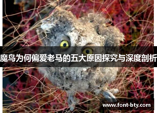 魔鸟为何偏爱老马的五大原因探究与深度剖析